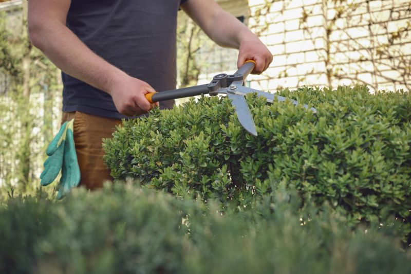 Pruning Tools in Use