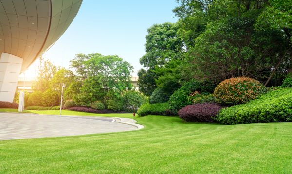 Commercial Shrub Trimming in Costa Mesa