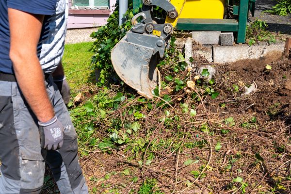 Hedge Removal Service in Costa Mesa
