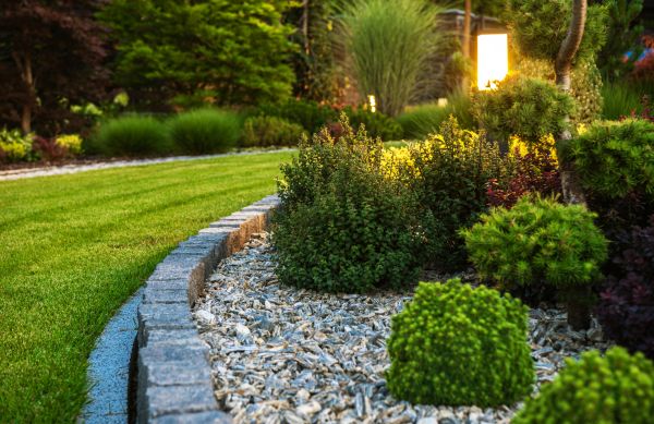 Cost of Bush Relocation in Costa Mesa