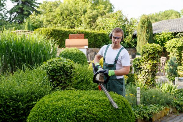 Shrubs Trimming in Costa Mesa